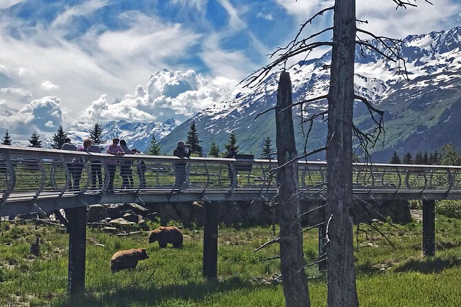 Cruise Transfer & Wildlife Tour: Anchorage to Whittier - Starting Point and Hotel Pickup in Anchorage