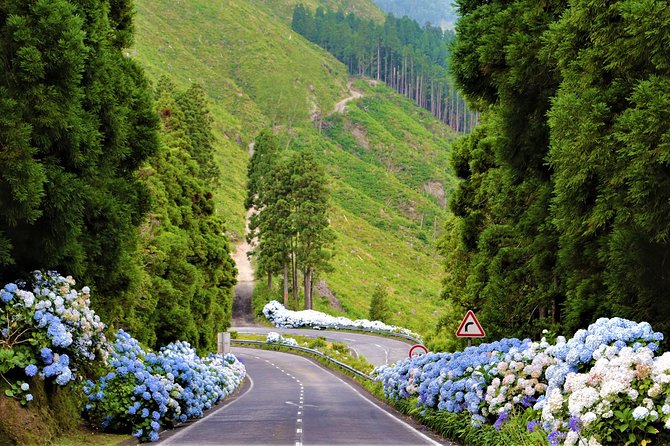 Cruise Travellers: Sete Cidades Volcano, The Blue & Green Lake - Logistics: Group Size, Pickup, and Timing