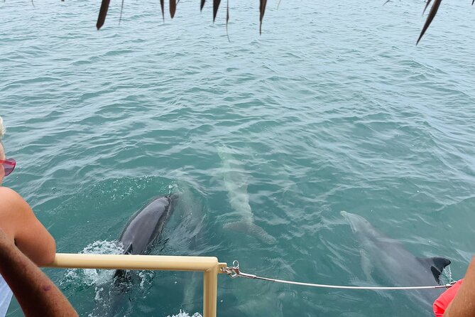 Cruisin Tikis Key Largo - Sunset Tiki Cruise (Private) - Who Will Enjoy This Sunset Tiki Cruise the Most?