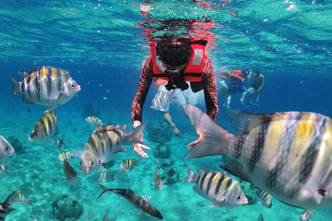 Crusers only Under the Sea of Cozumel - Exploring Cozumels Underwater Marvels in a Transparent Boat