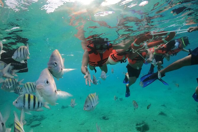 Crystal Boat Tour to San Miguel de Cozumel with Snorkeling - Practicalities: Meeting Point, Group Size, and Restrictions