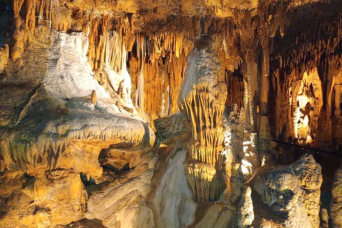 Crystal Cave Adventure Tour and Dino Trail Family Rate - Discover the Crystal Cave Adventure Tour and Dino Trail Family Rate in Missouri