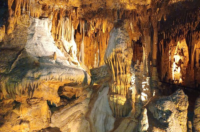 Crystal Cave Adventure Tour and Dino Trail Family Rate - Weather Considerations and Cancellation Policy