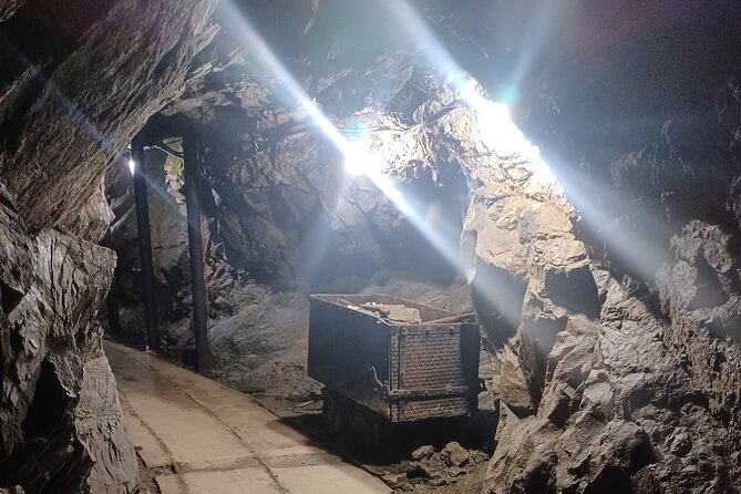 Crystal Gold Mine Tour Family Rate - Explore the Crystal Gold Mine Family Tour in Idaho