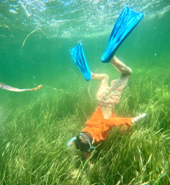 Crystal River: All Inclusive Premier Scalloping Tour - Crystal Rivers Scalloping Grounds and Natural Setting