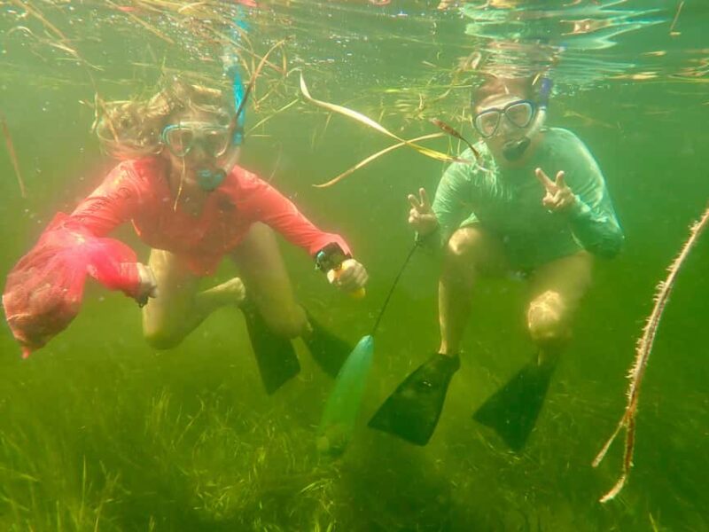 Crystal River: All Inclusive Premier Scalloping Tour - Practical Details: Meeting Point and Group Size