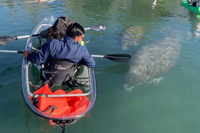 Crystal River: Clear Kayak Manatee Eco Tour (Free Photo Package) - The Itinerary: From Crystal River to Three Sisters Springs