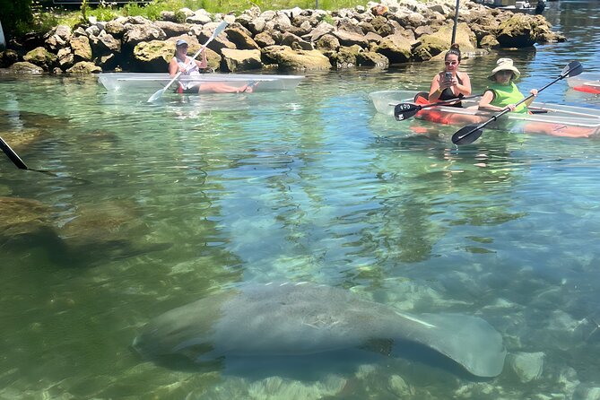 Crystal River: Clear Kayak Manatee Eco Tour (Free Photo Package) - Guides Known for Knowledge and Good Vibes