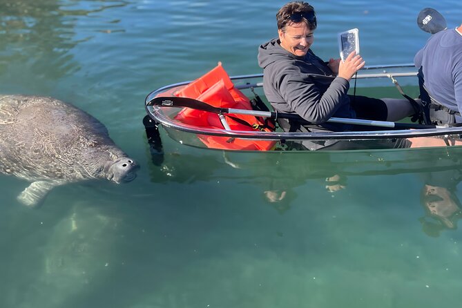 Crystal River: Clear Kayak Manatee Eco Tour (Free Photo Package) - Water Conditions and Water Clarity