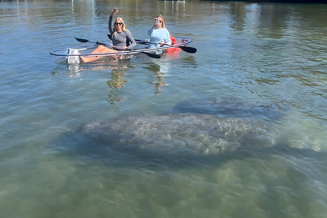 Crystal River: Clear Kayak Manatee Eco Tour (Free Photo Package) - The Impact of Water Temperatures and Seasons