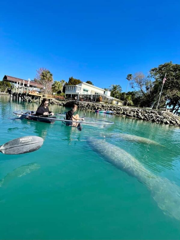 Crystal River: Clear Kayak Manatee & Springs Tour - Frequently Asked Questions