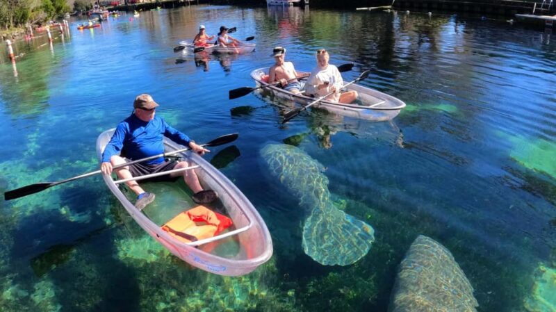 Crystal River: Clear Kayak Sunset & Night Glow Tour - Discover the Unique Nighttime Adventure in Crystal River