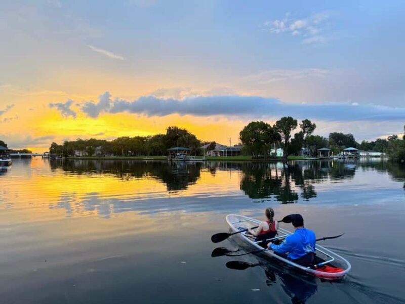 Crystal River: Clear Kayak Sunset & Night Glow Tour - Key Points
