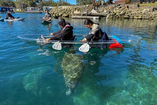 Crystal River Florida: Clear Kayak Guided Manatee Eco-Tour - Key Points