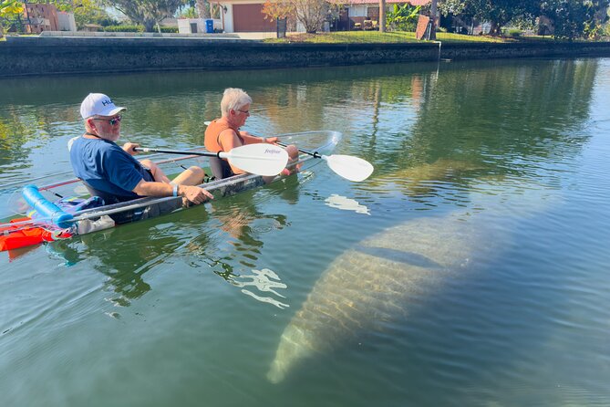 Crystal River Florida: Clear Kayak Guided Manatee Eco-Tour - The Importance of the Guides Expertise