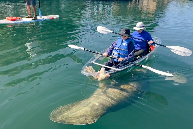 Crystal River Florida: Clear Kayak Guided Manatee Eco-Tour - Group Size and Booking Conditions