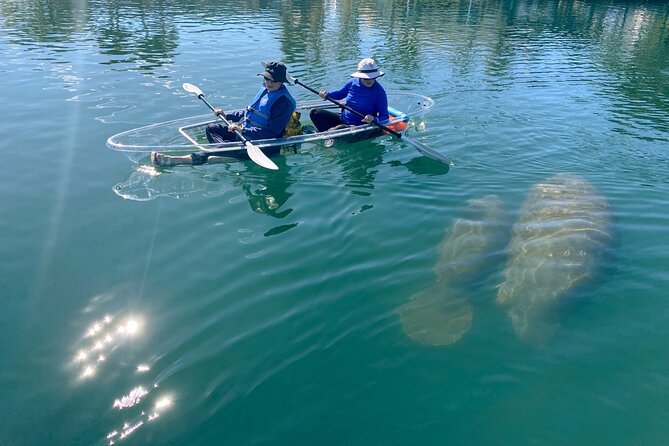 Crystal River Florida: Clear Kayak Guided Manatee Eco-Tour - Weather and Cancellation Policy