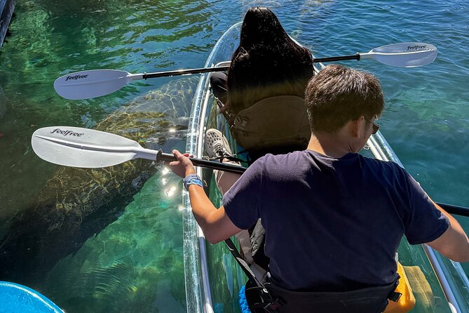 Crystal River Florida: Clear Kayak Guided Manatee Eco-Tour - Who Will Appreciate This Tour Most