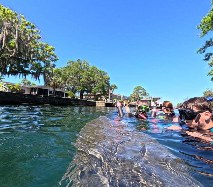 Crystal River: Guided Manatee Snorkeling Tour - Crystal River: Guided Manatee Snorkeling Tour Overview
