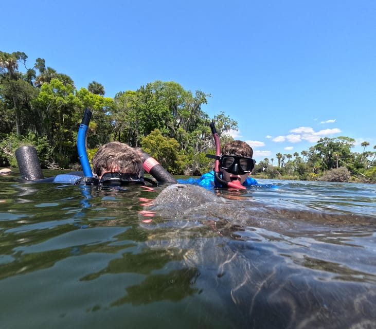 Crystal River: Guided Manatee Snorkeling Tour - Photos and Memories: Capturing the Moment