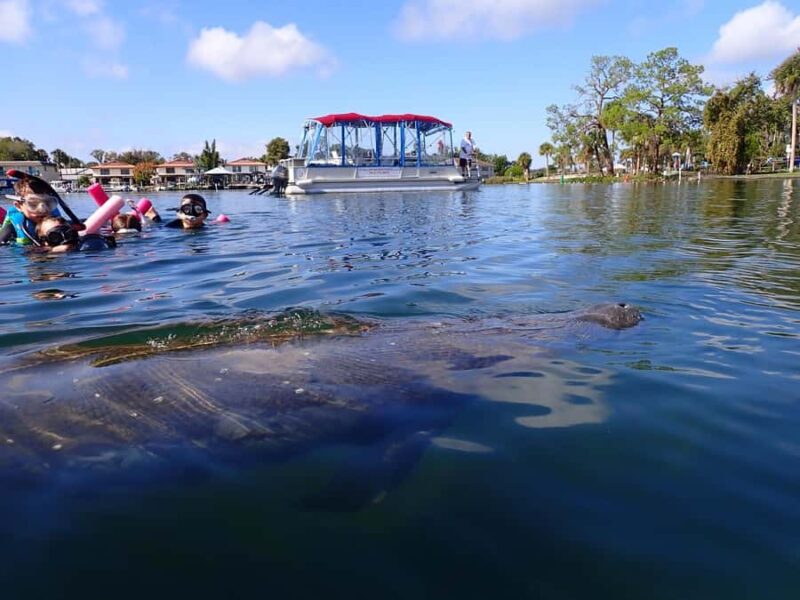 Crystal River: Guided Manatee Tour Heated Boat Free Photos - Crystal Rivers Prime Location for Manatee Viewing