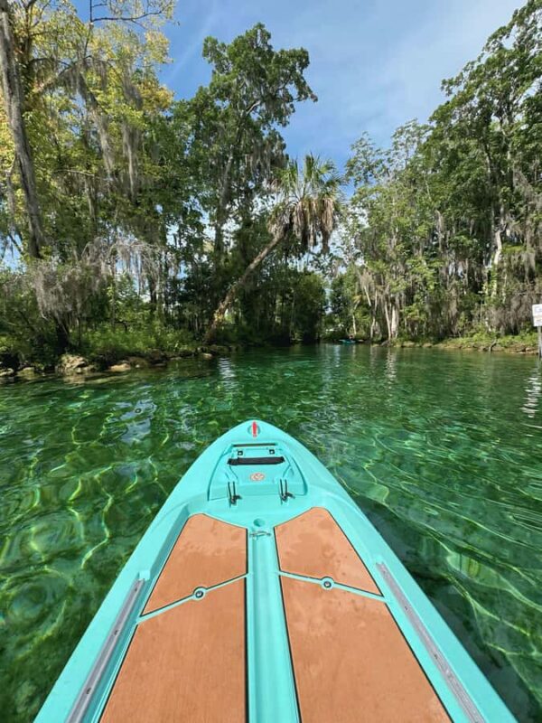 Crystal River: Kayak, Paddleboard, or Tandem Rental - Key Points