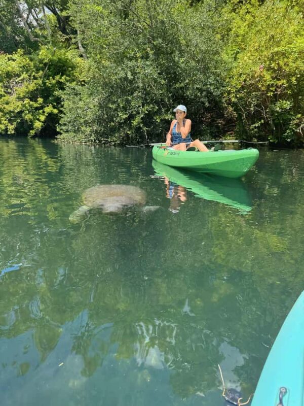 Crystal River: Kayak, Paddleboard, or Tandem Rental - Crystal River Kayak, Paddleboard, or Tandem Rental: Overview and Booking