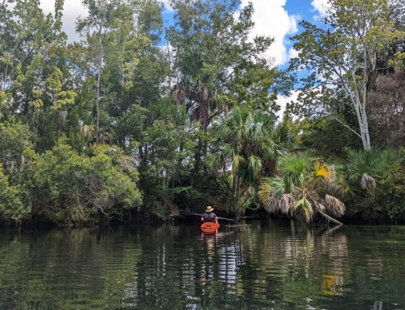 Crystal River: Kayak Rental - Key Points