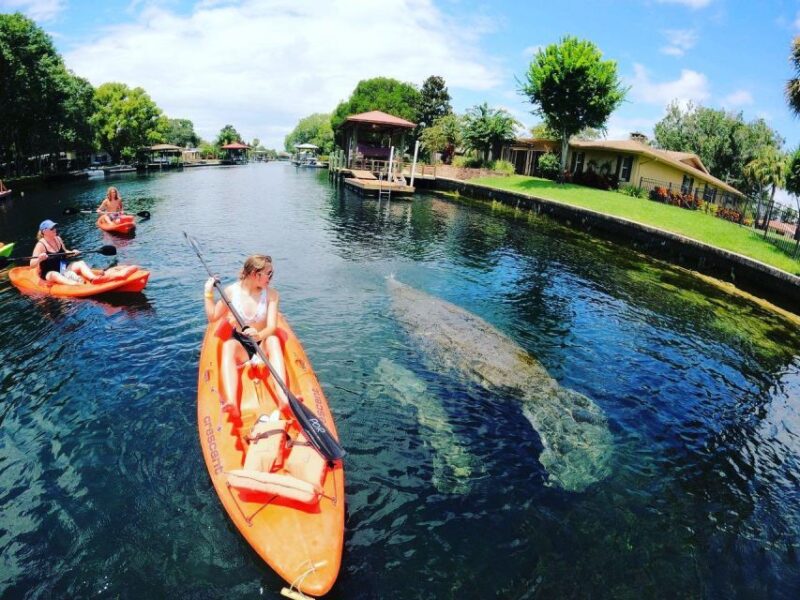Crystal River: Kayak Rental - Paddling Through Crystal River Waterways