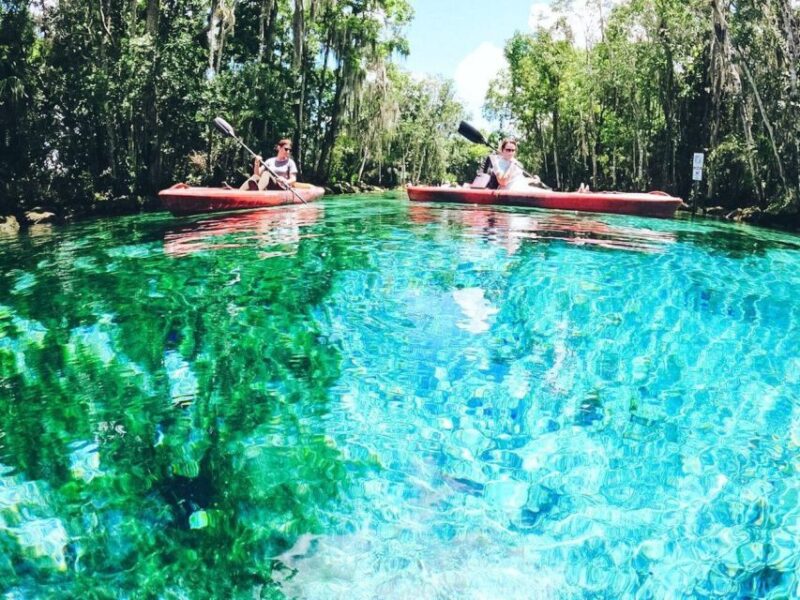Crystal River: Kayak Rental - Visiting Three Sisters Springs in Your Kayak