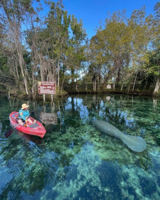 Crystal River: Kayak Rental - Benefits of Self-Guided Paddling in Crystal River