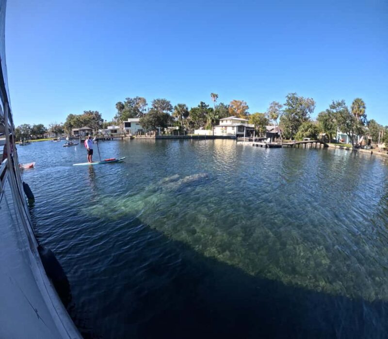 Crystal River: Kings Bay Manatee Watching Cruise - Scenic Views of Crystal River Springs and Kings Bay