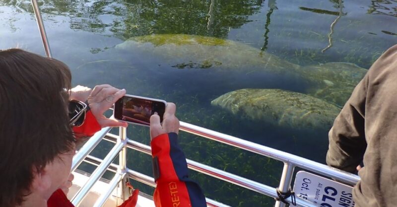 Crystal River: Manatee Swim Group Tour - Viewing Photos and Videos After the Tour