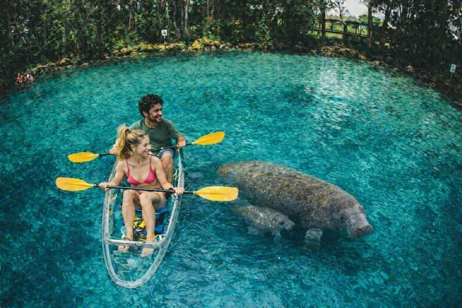 Crystal River Manatee Swim Tour Choose Your Kayak Paddleboard - Get Up Close with Manatees on a Flexible Kayak or Paddleboard Tour in Crystal River