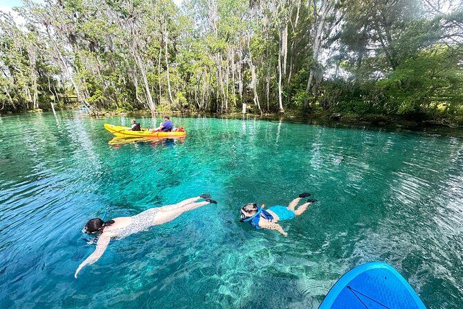 Crystal River Manatee Swim Tour Choose Your Kayak Paddleboard - Exploring Three Sisters Springs: What You’ll See