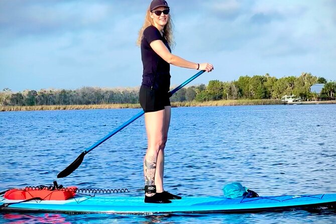 Crystal River Manatee Swim Tour Choose Your Kayak Paddleboard - The Advantages of a Non-Blackout Day Experience
