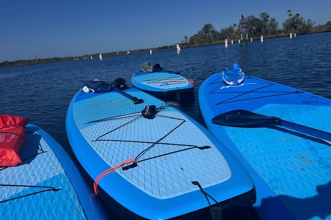 Crystal River Manatee Swim Tour Choose Your Kayak Paddleboard - The Role of Guides in Enhancing the Experience