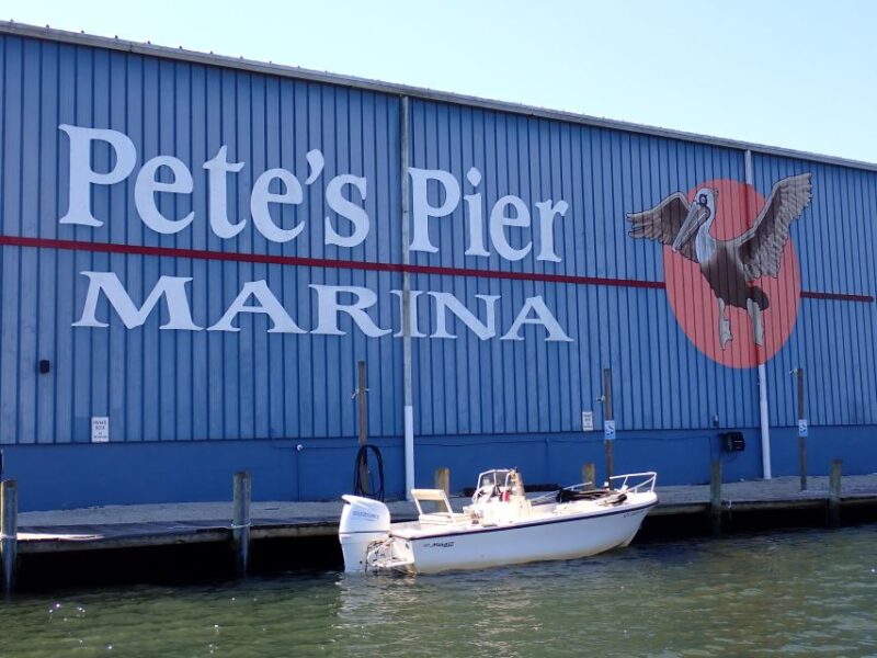 Crystal River: Manatee Viewing Cruise - Wildlife Sightings and the Search for Manatees