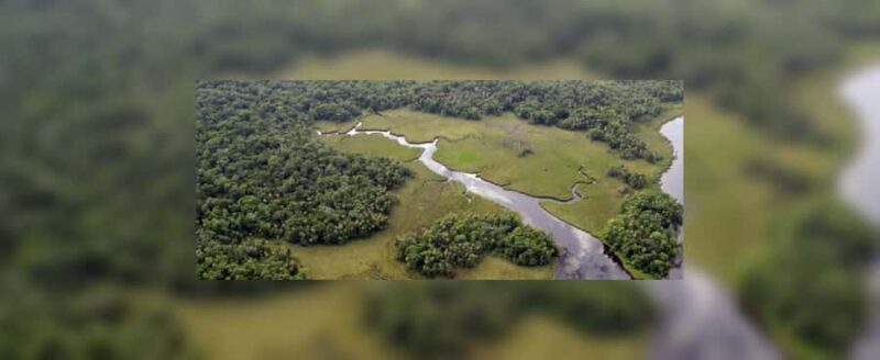 Crystal River: Naturalist Guide Eco Wildlife Manatee Tour - Practical Details: Meeting Point and Logistics
