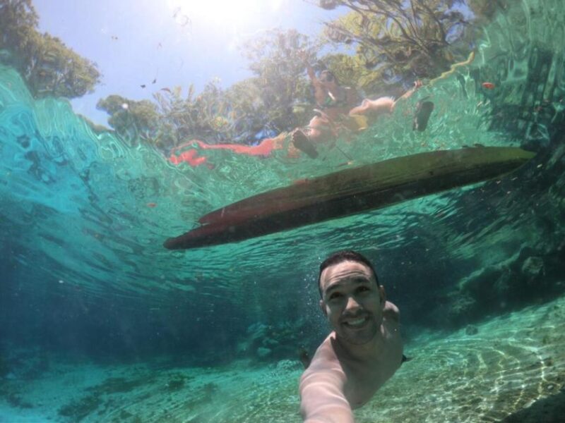 Crystal River: Paddle Board Rental - Discover Crystal River on a Paddleboard for $40