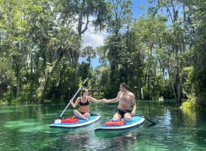 Crystal River: Paddle Board Rental - Wildlife Encounters: Manatees, Dolphins, and Birds