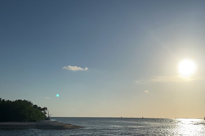 Crystal River Shell Island Adventure - Discover the Crystal River Shell Island Adventure: An Eco-Friendly Water Tour