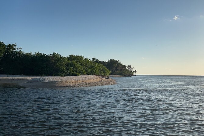 Crystal River Shell Island Adventure - Key Points