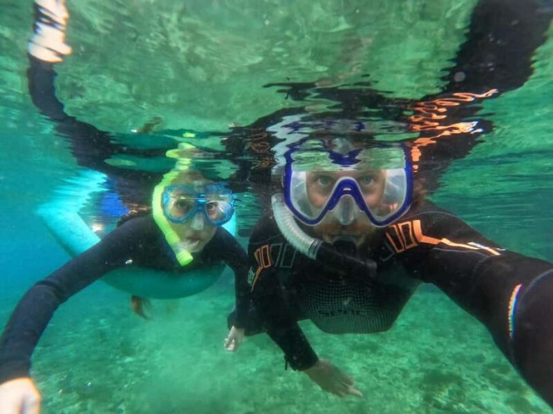 Crystal River: Small-Group Manatee Snorkeling Tour - Discover the Crystal River: Small-Group Manatee Snorkeling Tour