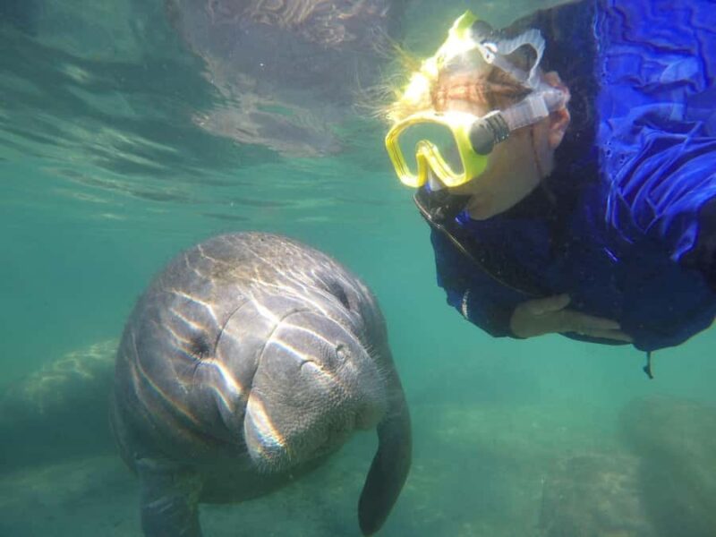 Crystal River: Small-Group Manatee Snorkeling Tour - How the Tour Connects You to Crystal River’s Natural Beauty