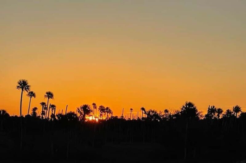 Crystal River: Sunset Cruise in Kings Bay - Wildlife Encounters in Crystal River’s Kings Bay