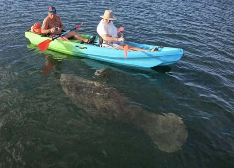 Crystal River: Sunset Kayak with Manatee Viewing Experience - Learning Paddle Safety and Respectful Manatee Observation
