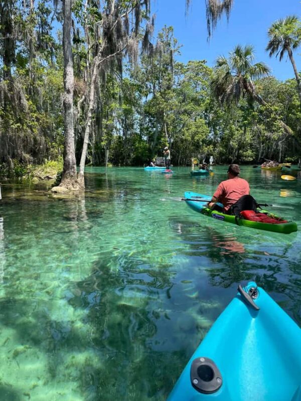 Crystal River: Sunset Kayak with Manatee Viewing Experience - Why Choose This Sunset Kayak Tour in Crystal River