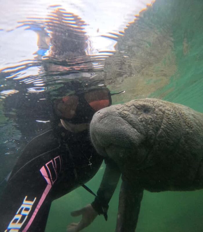 Crystal River: Swim with Manatees Private Tour Free Photos - Key Points