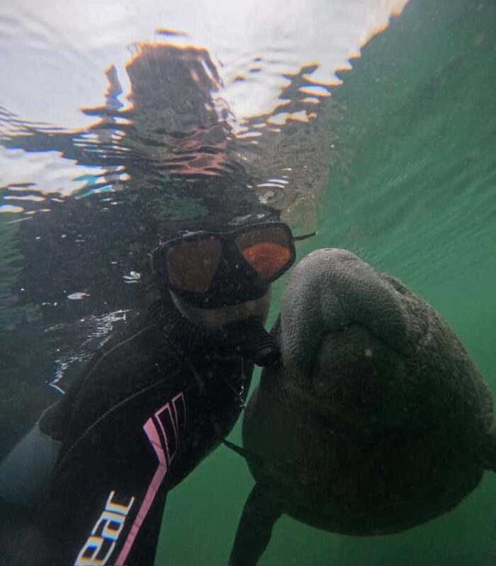 Crystal River: Swim with Manatees Private Tour Free Photos - Fun for Kids with the Treasure Chest Hunt